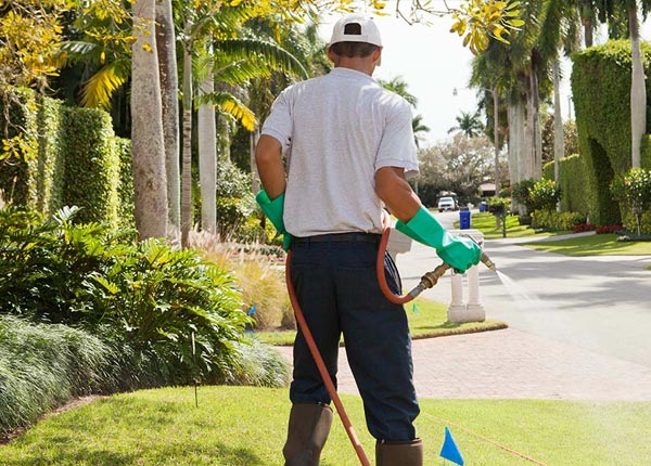 About Albin WY Pest Control Pros